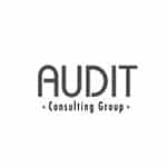 Storytelling pour Audit Consulting
